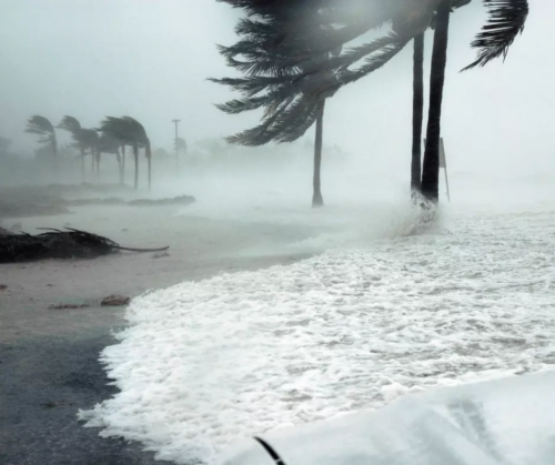 Florida hurricane claims lawyer